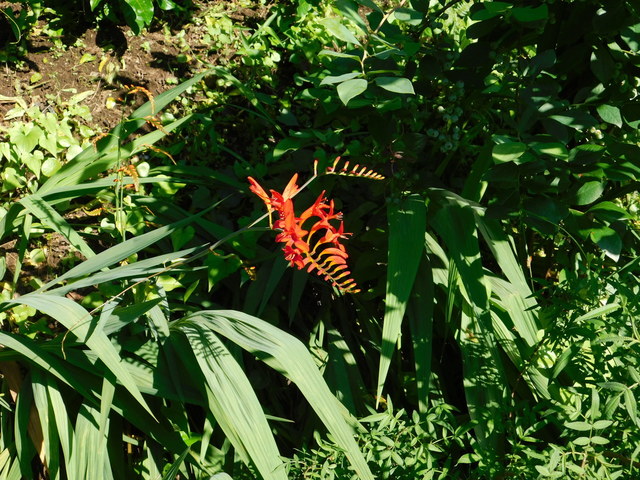 DSCN8663.JPG