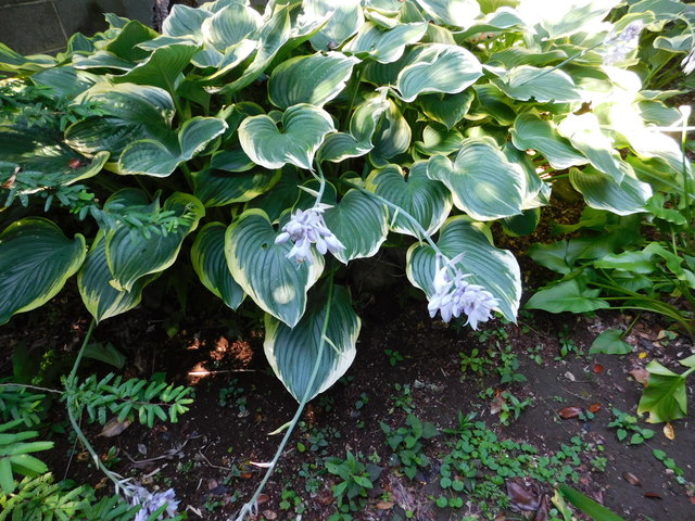DSCN8665.JPG