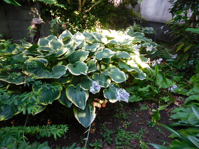 DSCN8669.JPG
