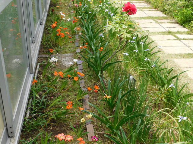 DSCN8674.JPG