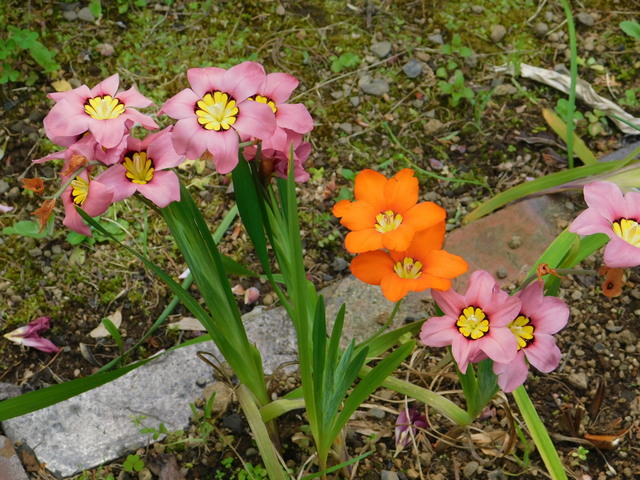 DSCN8675.JPG