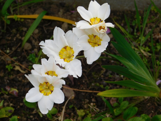DSCN8677.JPG