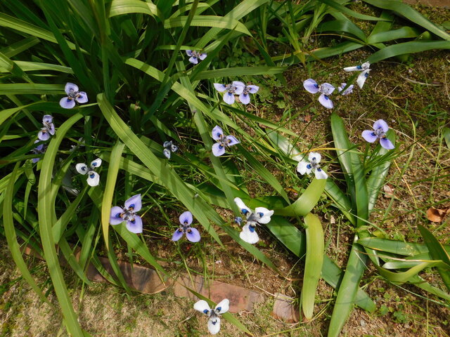 DSCN8682.JPG
