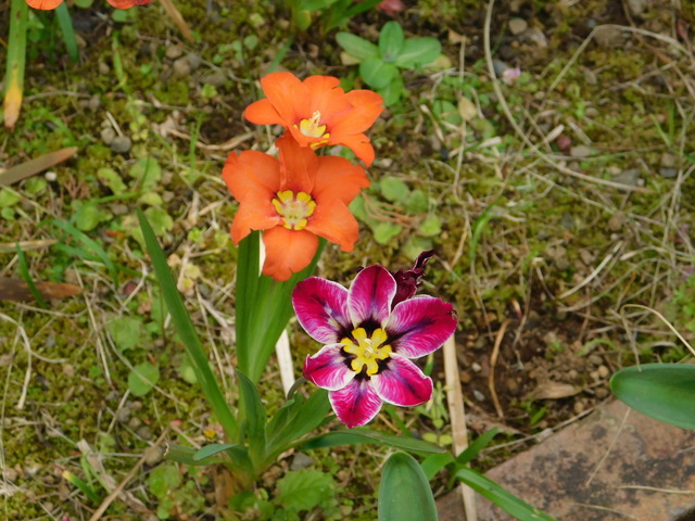 DSCN8683.JPG