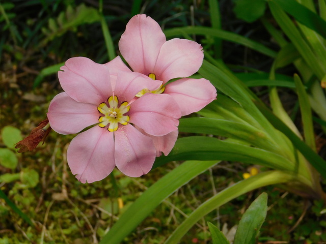 DSCN8687.JPG