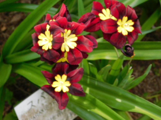 DSCN8690.JPG