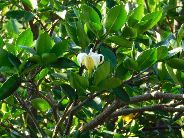 DSCN8692.JPG