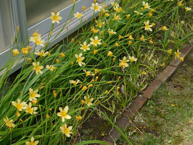 DSCN8696.JPG