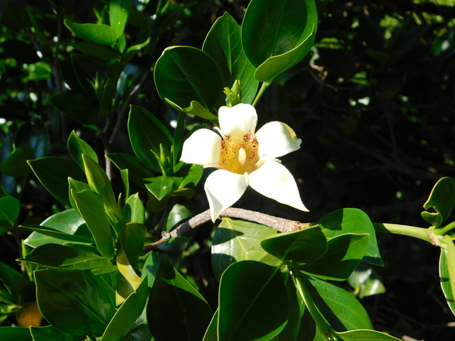 DSCN8697.JPG