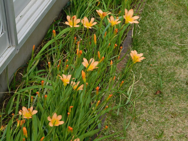 DSCN8698.JPG