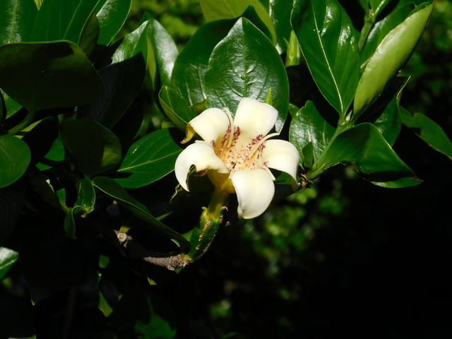 DSCN8701.JPG