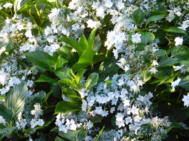 DSCN8705.JPG