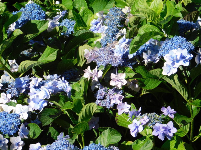 DSCN8706.JPG