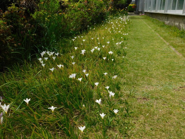 DSCN8710.JPG