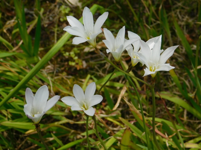 DSCN8712.JPG