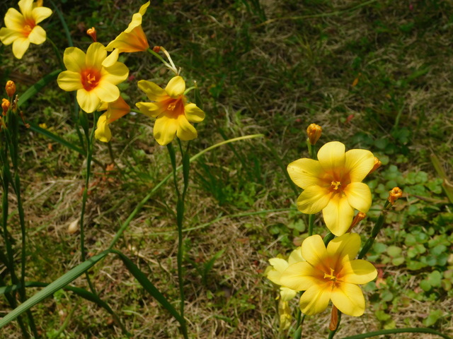 DSCN8713.JPG