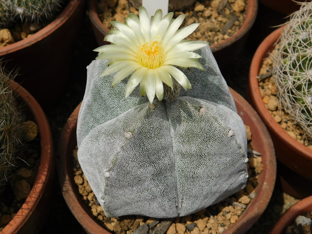 DSCN8762.JPG