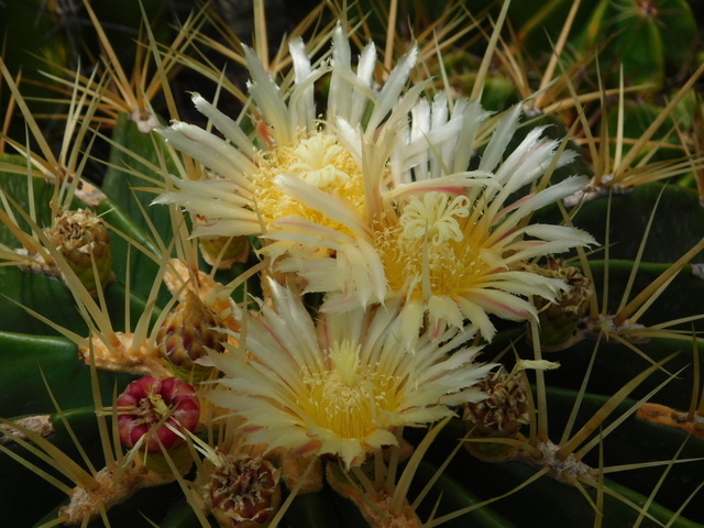 DSCN8801.JPG