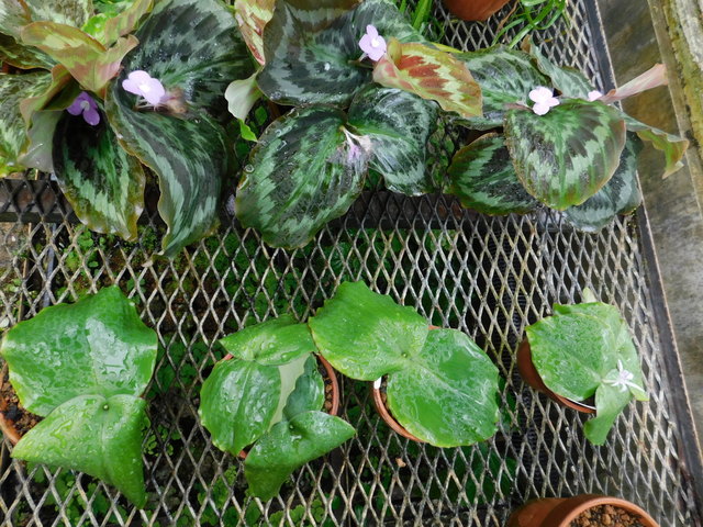 DSCN8804.JPG