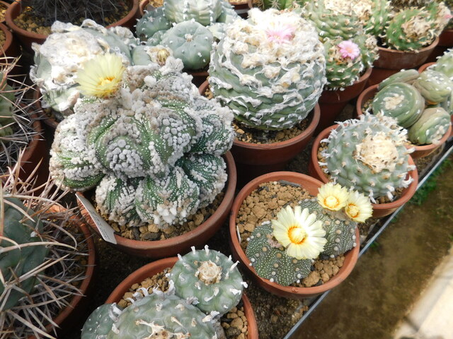 DSCN8830.JPG
