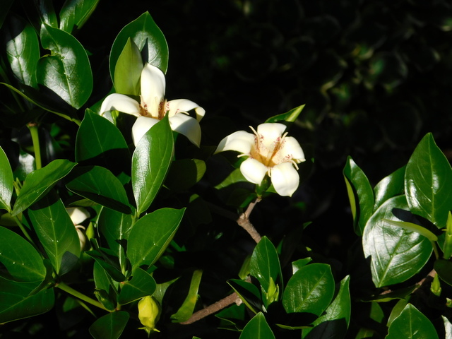 DSCN8918.JPG