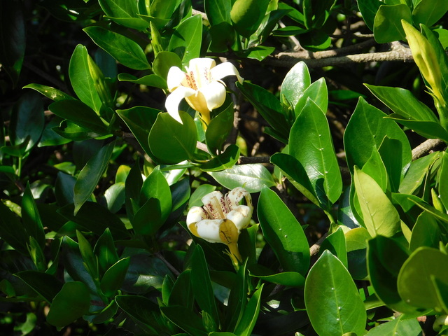 DSCN8924.JPG