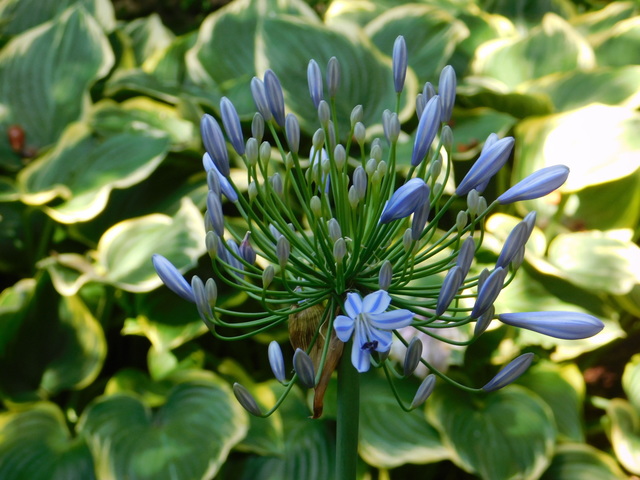 DSCN8931.JPG