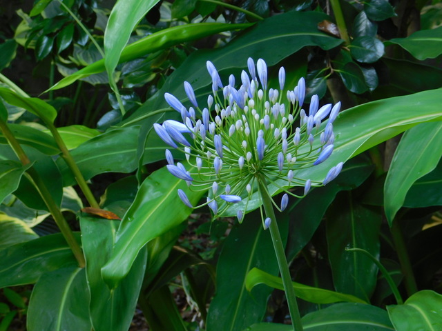 DSCN8933.JPG