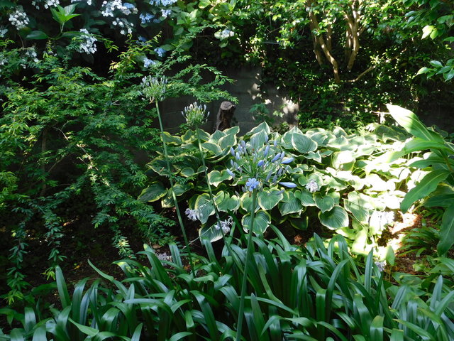 DSCN8934.JPG