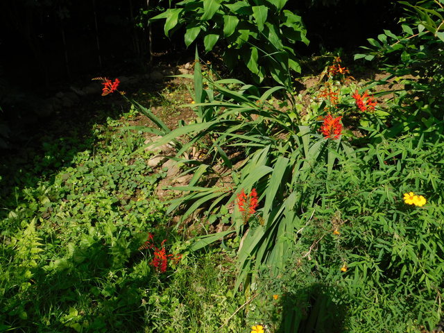 DSCN8937.JPG