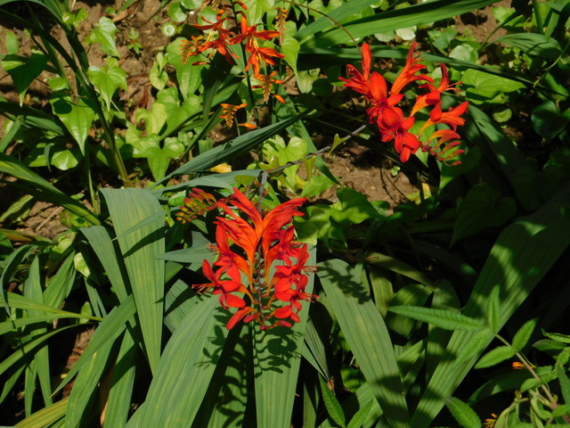 DSCN8939.JPG
