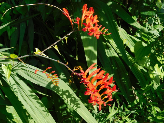DSCN8947.JPG
