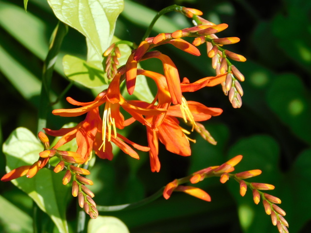 DSCN8951.JPG