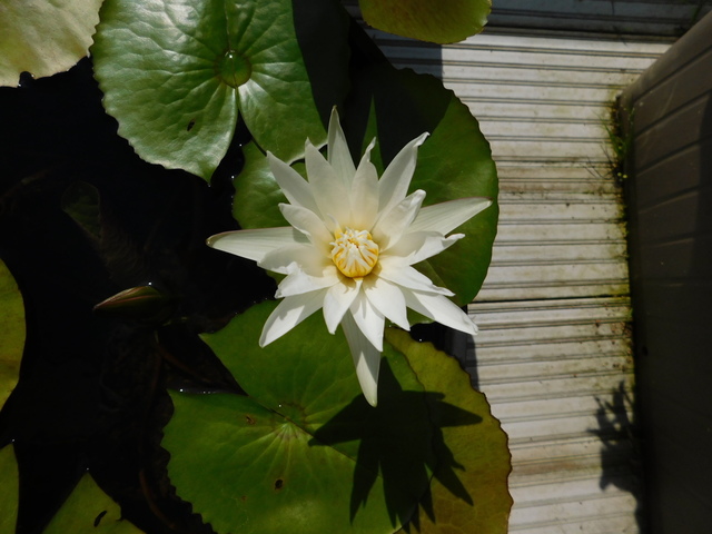 DSCN8959.JPG