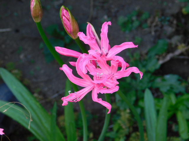 DSCN8959.JPG