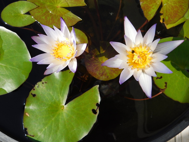 DSCN8963.JPG