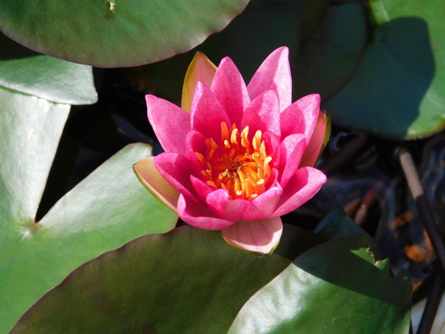 DSCN8969.JPG
