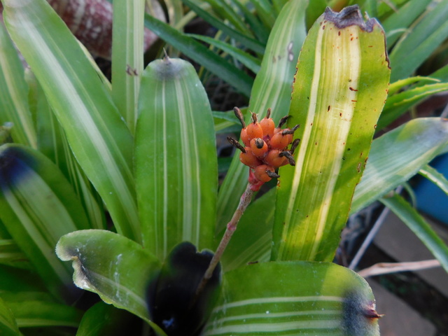 DSCN8983.JPG