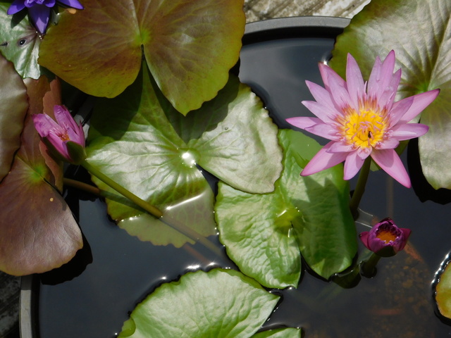 DSCN8999.JPG