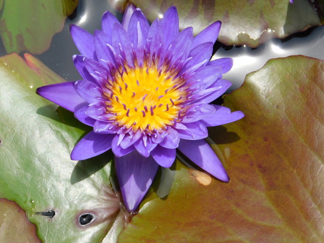DSCN9002.JPG