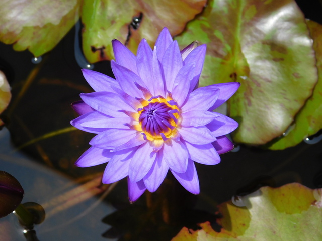 DSCN9004.JPG