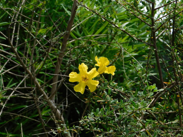 DSCN9031.JPG