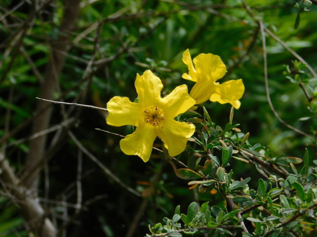DSCN9033.JPG