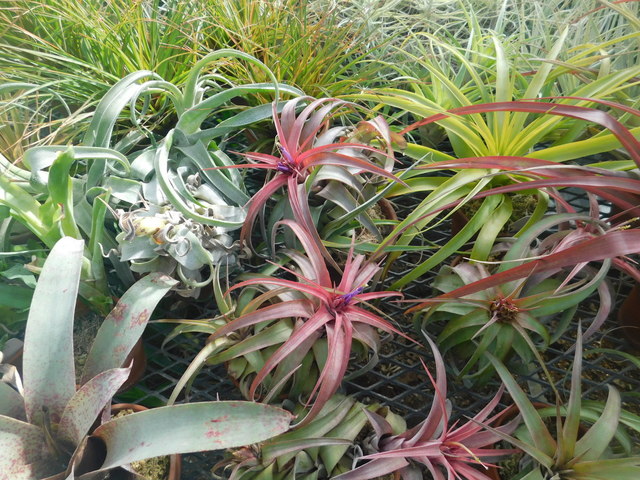 DSCN9037.JPG