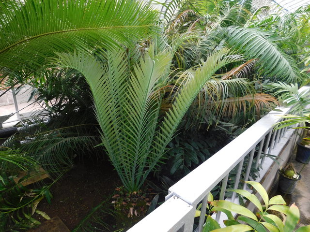 DSCN9057.JPG