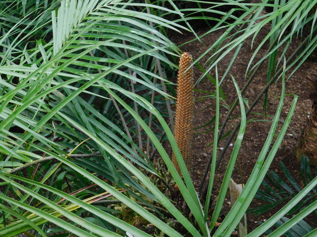 DSCN9059.JPG