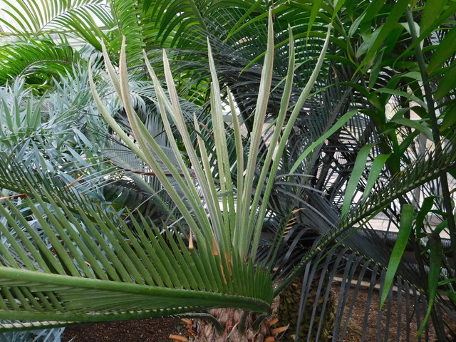 DSCN9061.JPG