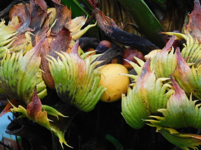 DSCN9064.JPG