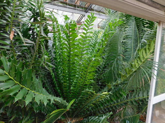 DSCN9069.JPG