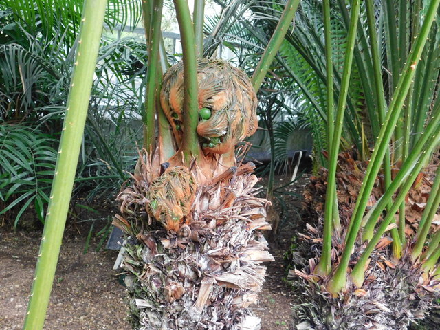 DSCN9074.JPG